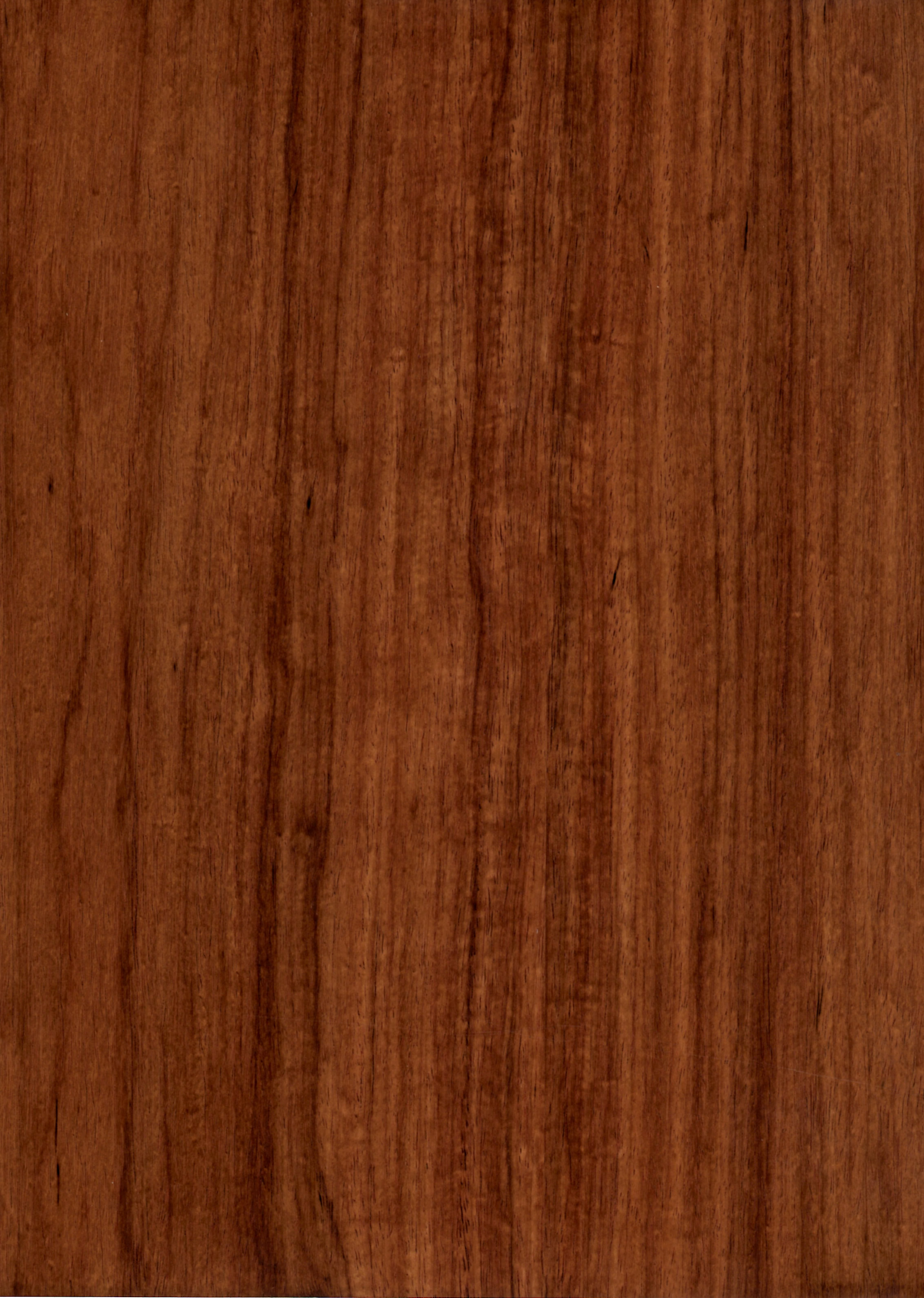 Wood Veneer Color Chart Mayota